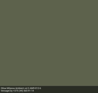 Обои Milassa Ambient vol.3 AM9012-6