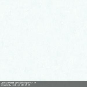 Обои Bernardo Bartalucci Bigi 5067-10