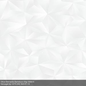 Обои Bernardo Bartalucci Bigi 5064-4
