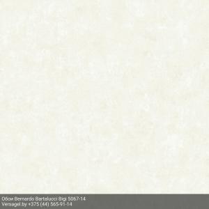 Обои Bernardo Bartalucci Bigi 5067-14