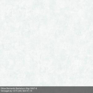 Обои Bernardo Bartalucci Bigi 5067-4