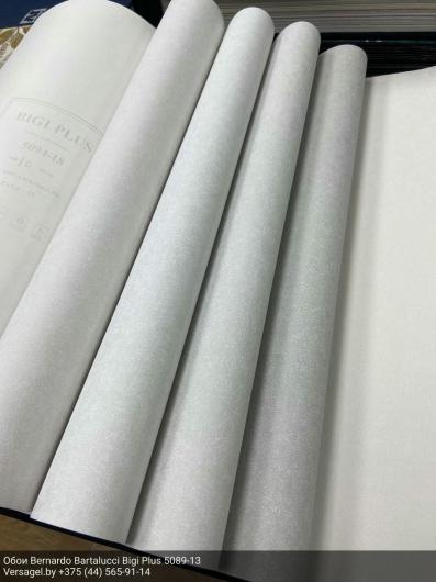Обои Bernardo Bartalucci Bigi Plus 5089-13