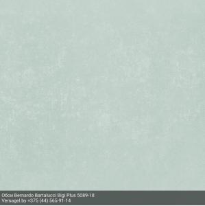 Обои Bernardo Bartalucci Bigi Plus 5089-18