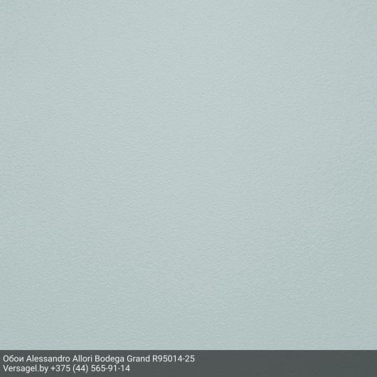 Обои Alessandro Allori Bodega Grand R95014-25