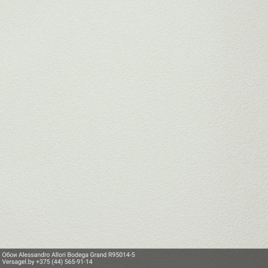 Обои Alessandro Allori Bodega Grand R95014-5
