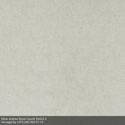 Обои Andrea Rossi Cavolli 54422-3