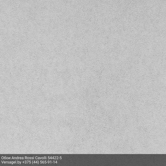 Обои Andrea Rossi Cavolli 54422-5