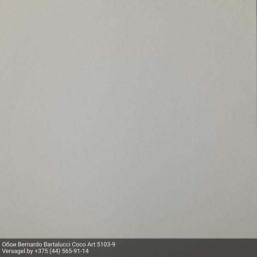 Обои Bernardo Bartalucci Coco Art 5103-9