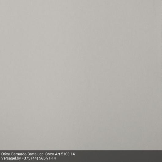 Обои Bernardo Bartalucci Coco Art 5103-14
