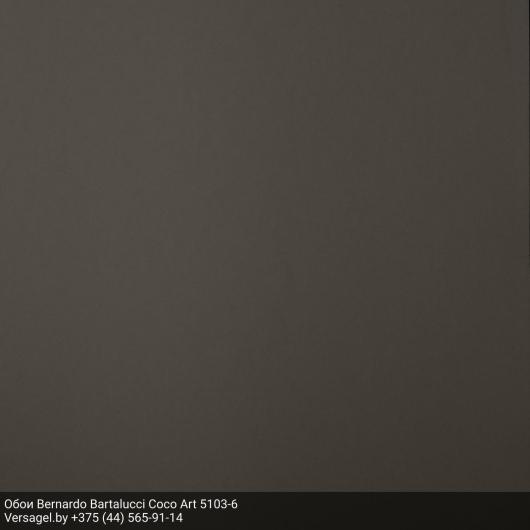 Обои Bernardo Bartalucci Coco Art 5103-6