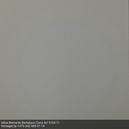 Обои Bernardo Bartalucci Coco Art 5103-11
