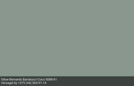 Обои Bernardo Bartalucci Coco 5088-61