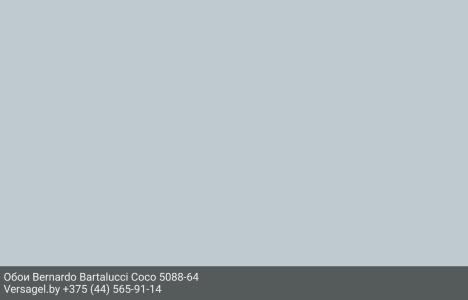 Обои Bernardo Bartalucci Coco 5088-64