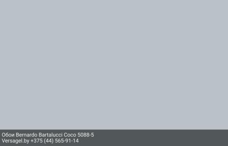 Обои Bernardo Bartalucci Coco 5088-5