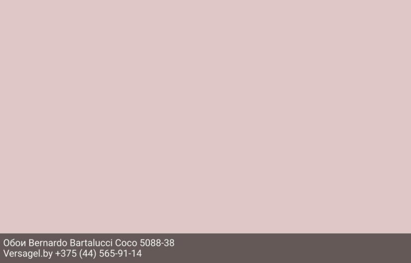 Обои Bernardo Bartalucci Coco 5088-38