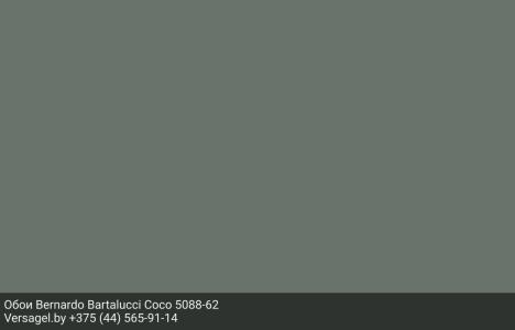 Обои Bernardo Bartalucci Coco 5088-62