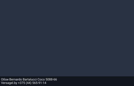 Обои Bernardo Bartalucci Coco 5088-66