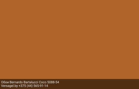 Обои Bernardo Bartalucci Coco 5088-54