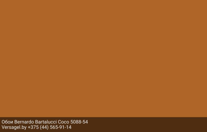 Обои Bernardo Bartalucci Coco 5088-54
