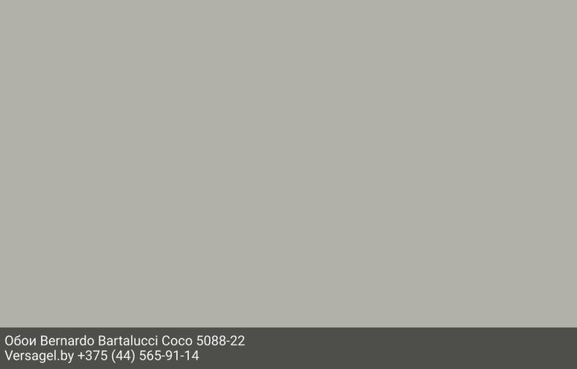 Обои Bernardo Bartalucci Coco 5088-22