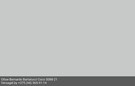 Обои Bernardo Bartalucci Coco 5088-21