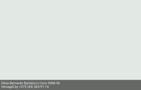 Обои Bernardo Bartalucci Coco 5088-56