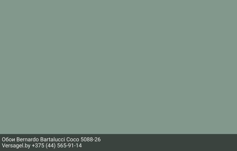 Обои Bernardo Bartalucci Coco 5088-26
