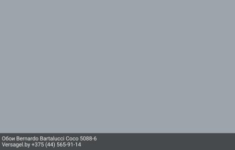 Обои Bernardo Bartalucci Coco 5088-6