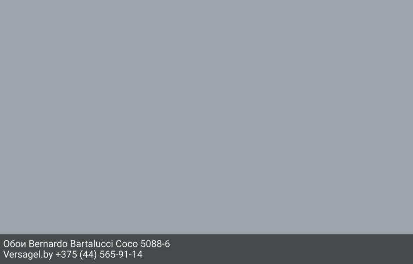 Обои Bernardo Bartalucci Coco 5088-6