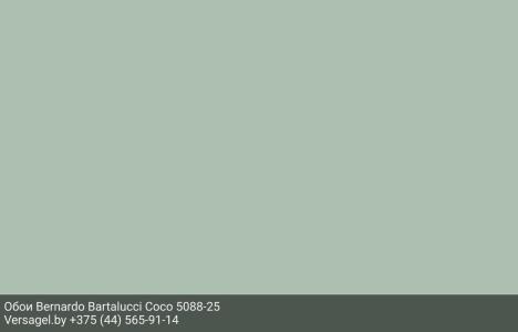 Обои Bernardo Bartalucci Coco 5088-25