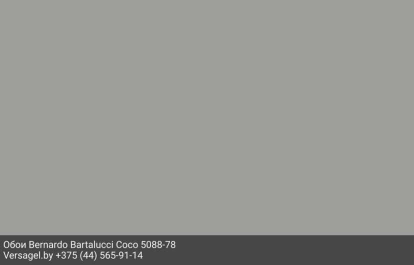 Обои Bernardo Bartalucci Coco 5088-78