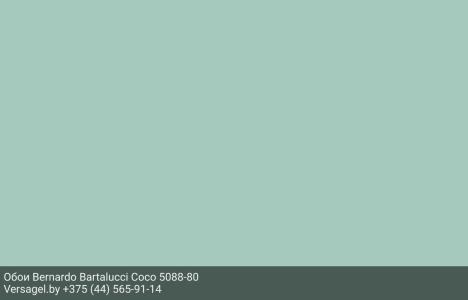 Обои Bernardo Bartalucci Coco 5088-80