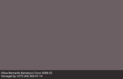 Обои Bernardo Bartalucci Coco 5088-52