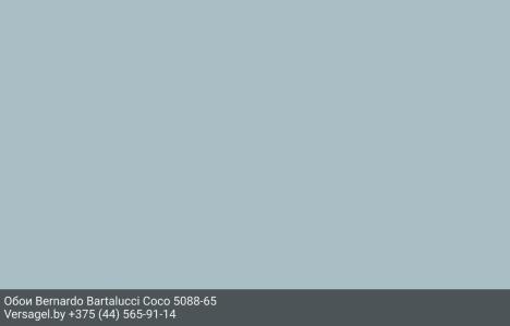 Обои Bernardo Bartalucci Coco 5088-65