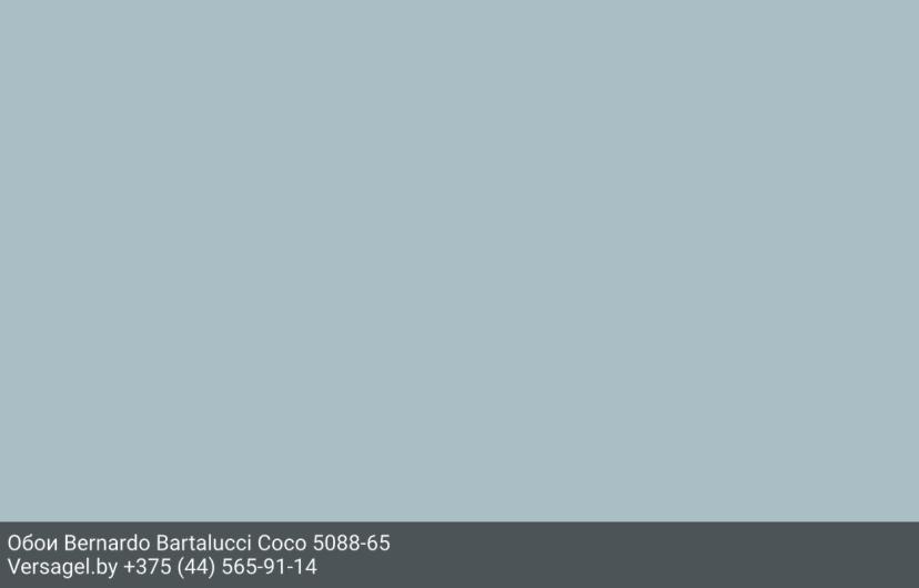Обои Bernardo Bartalucci Coco 5088-65