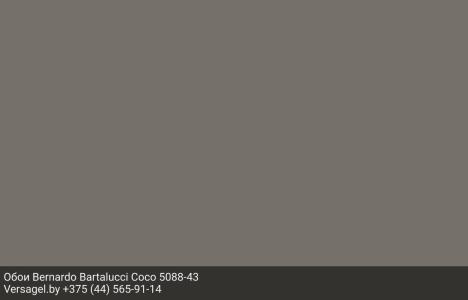 Обои Bernardo Bartalucci Coco 5088-43
