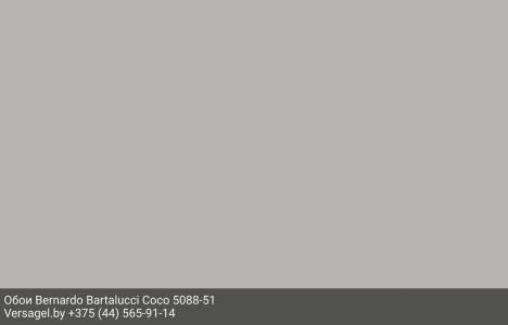 Обои Bernardo Bartalucci Coco 5088-51