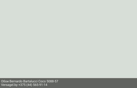 Обои Bernardo Bartalucci Coco 5088-57
