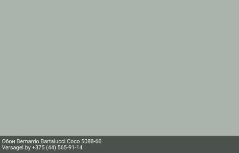 Обои Bernardo Bartalucci Coco 5088-60