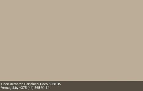 Обои Bernardo Bartalucci Coco 5088-35