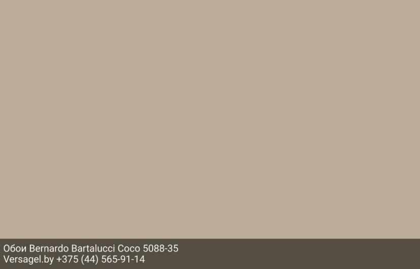 Обои Bernardo Bartalucci Coco 5088-35