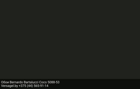 Обои Bernardo Bartalucci Coco 5088-53