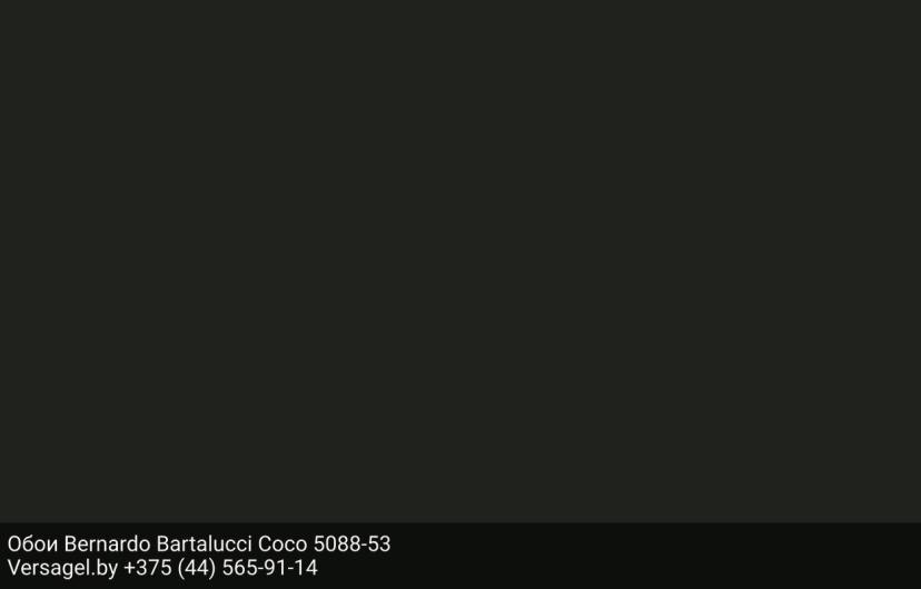 Обои Bernardo Bartalucci Coco 5088-53