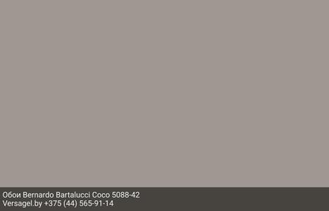 Обои Bernardo Bartalucci Coco 5088-42
