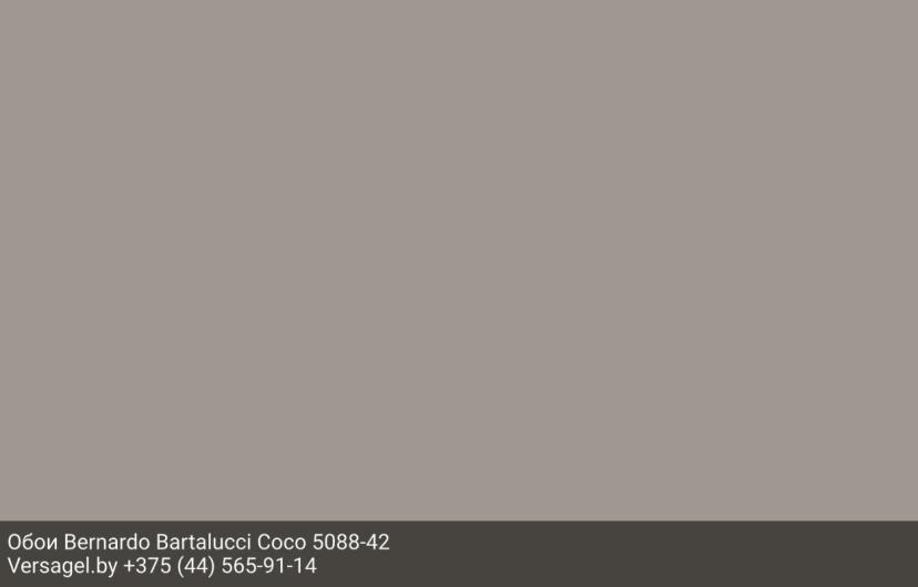 Обои Bernardo Bartalucci Coco 5088-42