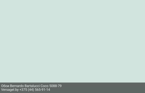 Обои Bernardo Bartalucci Coco 5088-79
