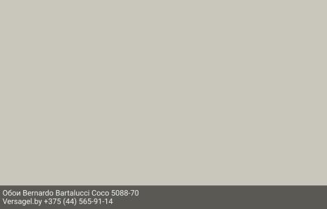 Обои Bernardo Bartalucci Coco 5088-70