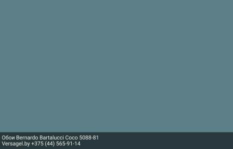 Обои Bernardo Bartalucci Coco 5088-81