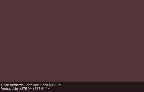 Обои Bernardo Bartalucci Coco 5088-39