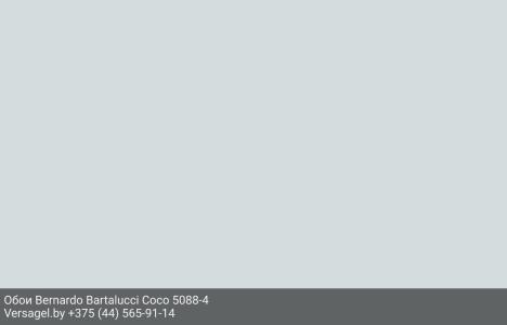 Обои Bernardo Bartalucci Coco 5088-4